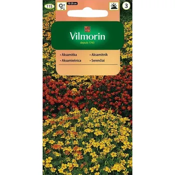 Semeno Aksamitník jemnolistý (směs) 10/2025