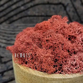 umělá květina Stabilizovaný mech Lišejník SIENNA - 1000g