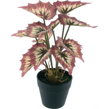 umělá květina umělá rostlina, Begonie „Rex“ v květináči červená 25 cm