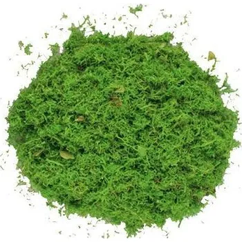 Mech zelený k dekoraci 40 g