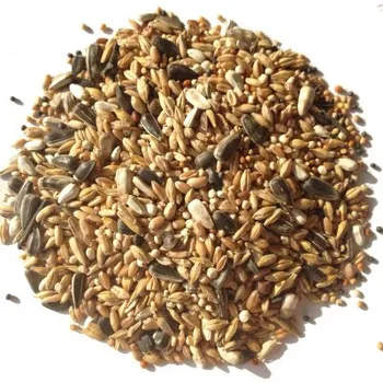 Pro ptáka Avest Holub dieta H1