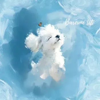 Úplet, Bílý pejsek, panel (E) (Top kvalitní úplet Bella)