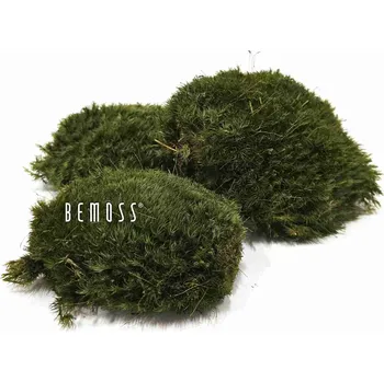 umělá květina Stabilizovaný mech Siberian - 0.1m2