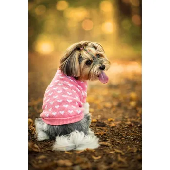 Obleček pro psa Vsepropejska Heart svetr pro psa se srdíčky Barva: Modrá, Délka zad (cm): 28, Obvod hrudníku: 28 - 36 cm