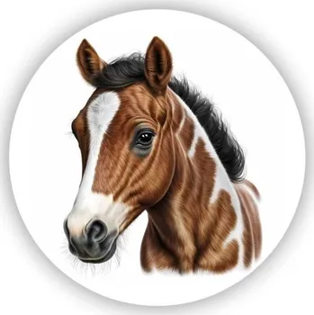 Dekorativní magnet Magnetka 65x65mm ve tvaru kruhu - portrét krásného koně