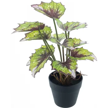umělá květina umělá rostlina, Begonie „Rex“ v květináči zelená 25 cm