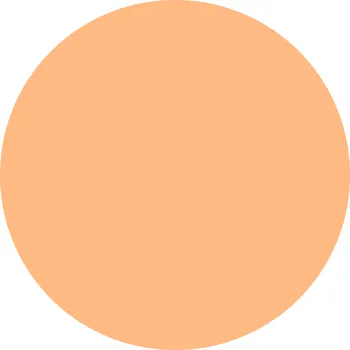 Filament Prof. Lab / Smart Print 1 kg - STANDARD RESIN+ Barva: TĚLOVÁ (SKIN) - Smart Print