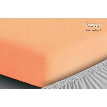 Prostěradlo Froté prostěradlo Premium s gumou 220x200 Morel