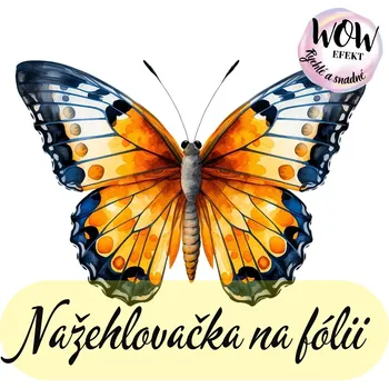 Nažehlovačky na fólii Nažehlovačka na fólii, MOTÝL - VÍCEBAREVNÝ 5, 7,3 x 10,5 cm, 1 kus