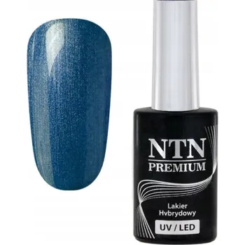 Přípravek na nehty Hybridní lak NTN Premium Multicolor 5G 90