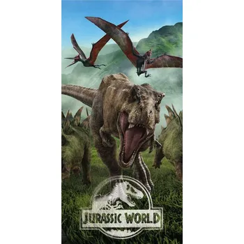 Plážová osuška Jerry Fabrics 140 cm x 70 cm