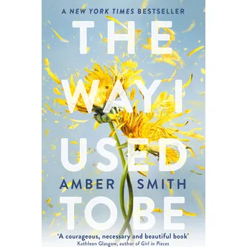 Cizojazyčná kniha The Way I Used to Be – Amber Smith