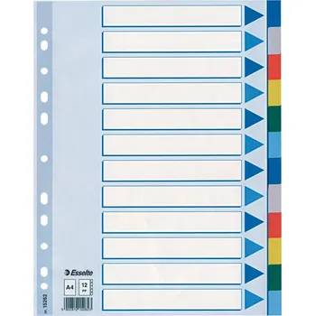 ESSELTE Rozdružovač A4 plastový Esselte - barevný / 12 listů 404162