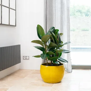 Květináč Žlutý keramický Květináč Provencelia 38 cm x 55 x 38 cm