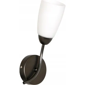 Nástěnné svítidlo Nástěnné svítidlo BRITOP 1xE14 Max.40W, kombinace grafitu a bílé, industriální styl