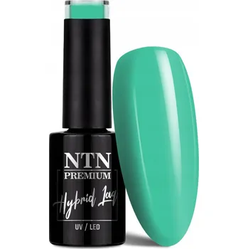 Lak na nehty Hybridní lak Ntn Premium Celebration Collection 5g Č. 163