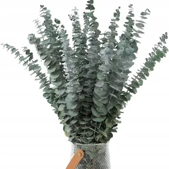 Eukaliptus stabilizovaná kytice Eukaliptus SUŠENÁ do vázy SUCHÉ TRÁVY