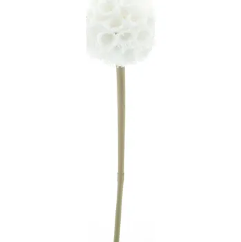 umělá květina umělá větev, Pampelišková větev se sněhem smetanová 68 cm