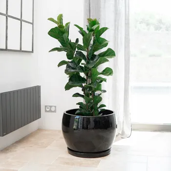 Květináč Keramický Květináč Provencelia černý 30 cm x 42 x 30 cm