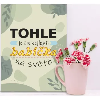 Plechová cedule Sablio Dárková cedulka Tohle je ta nejlepší babička na světě: 30x40 cm