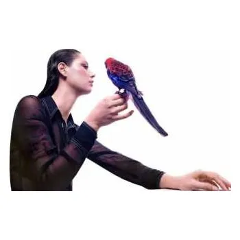 Zahraniční hudba CD Grace Cummings: Storm Queen 2022