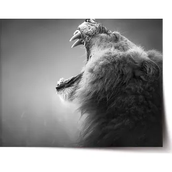 Plakát Sablio Plakát Řvoucí lev - 60x40 cm