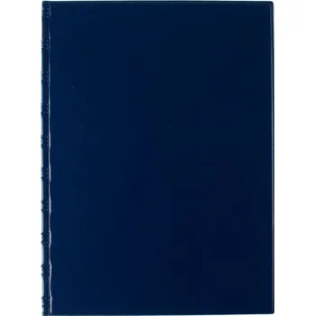 Karton P+P Desky Sporo - kapsy spodní / modrá 30039