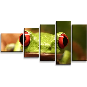Obraz Sablio Obraz - 5-dílný Zelená žába - 100x60 cm