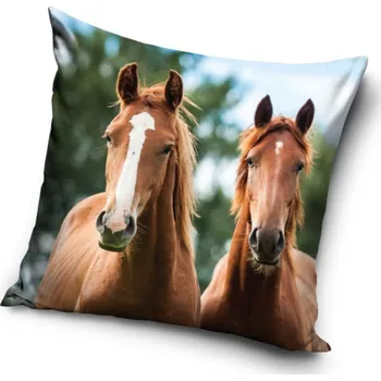 Polštář Dekorační polštářek Koně Hnědáci