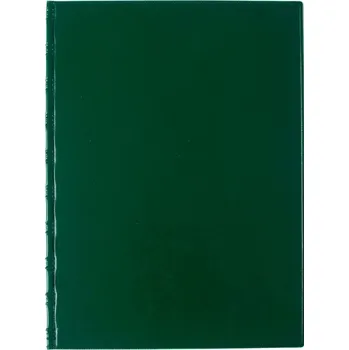 Karton P+P Desky Sporo - kapsy boční / zelená 30048