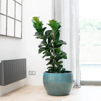 Květináč Keramický Květináč Provencelia modrý 38 cm x 55 x 38 cm