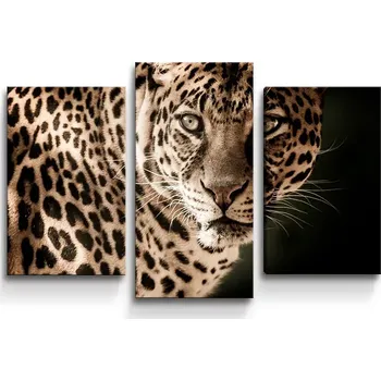 Obraz Sablio Obraz - 3-dílný Levhart - 75x50 cm