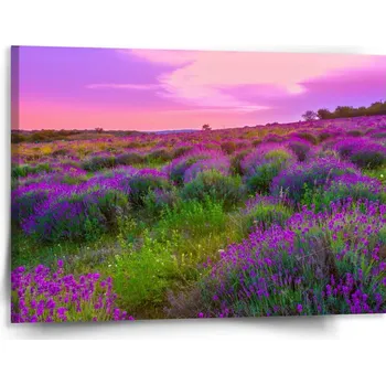 Obraz Sablio Obraz Levandulové pole 2 - 150x110 cm