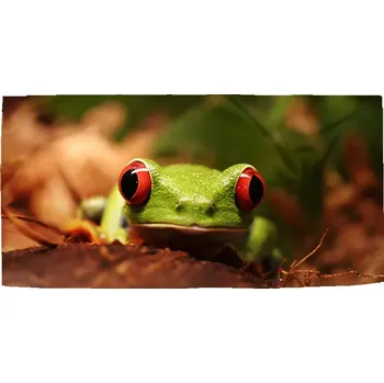 Sablio Ručník Zelená žába - 30x50 cm