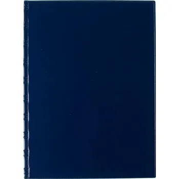 Karton P+P Desky Sporo - kapsy boční / modrá 30045