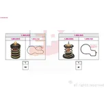 Termostat, chladivo EPS 1.879.987KK