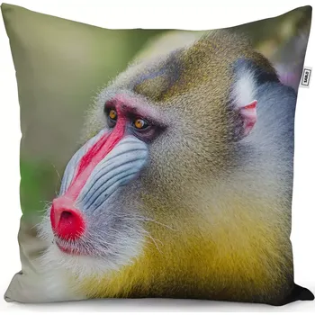 Polštář Sablio Polštář Mandril - 50x50 cm