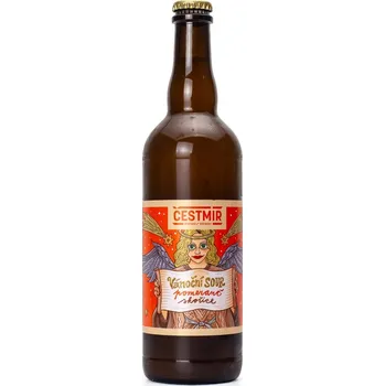 Pivo Čestmír 12° Vánoční Sour Ale