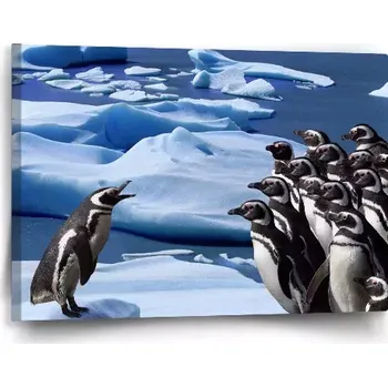 Obraz Sablio Obraz Tučňáci - 60x40 cm