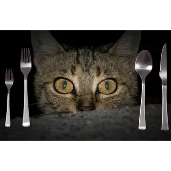 prostírání Sablio Prostírání Kočka: 40x30cm