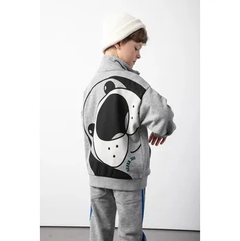 Chlapecká mikina Dětská mikina Coccodrillo šedá barva, s potiskem, ACADEMY BOY KIDS ZC5132201ABK 09X, vel. 116