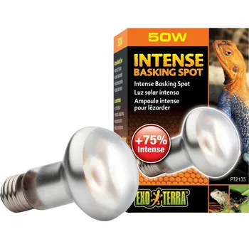 Teraristika Výhřevná žárovka do terária pro agamy Intense Basking Spot 50W Exo Terra
