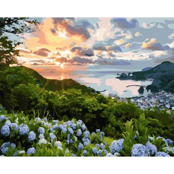 Malování podle čísel iPicasso 40x50 cm na rámu