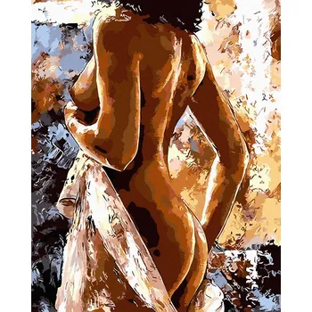 Malování podle čísel iPicasso 40x50 cm na rámu