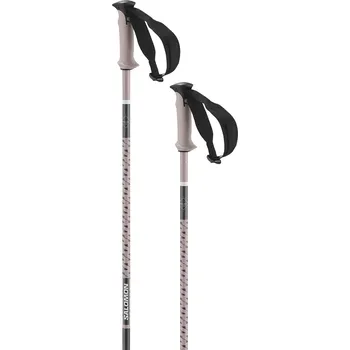 Lyžování Salomon Polar Pro - Rose Gold 120