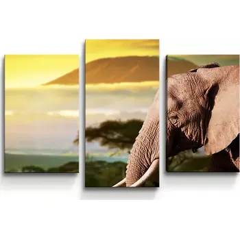 Obraz Sablio Obraz - 3-dílný Slon z profilu - 75x50 cm