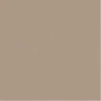 Obklad Rako Color one obkládačka tmavě béžová 20x20 (WAA1N301)