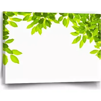 Obraz Sablio Obraz Listy - 90x60 cm
