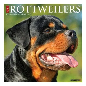 Kalendář Rottweilers 2026 12 X 12 Wall Calendar (Brožovaná)