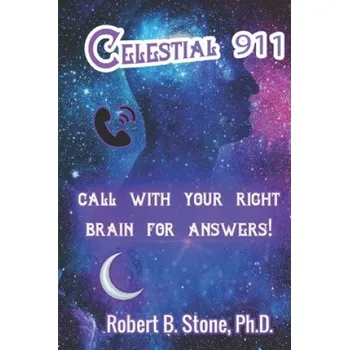 Komiks pro dospělé Celestial 911 (Stone Robert B. Stone)(Brožovaná)